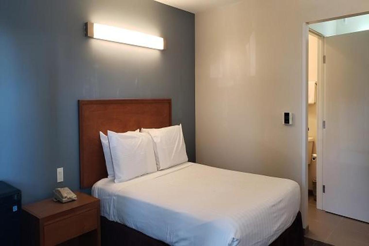 Inn At רונרט פארק מראה חיצוני תמונה